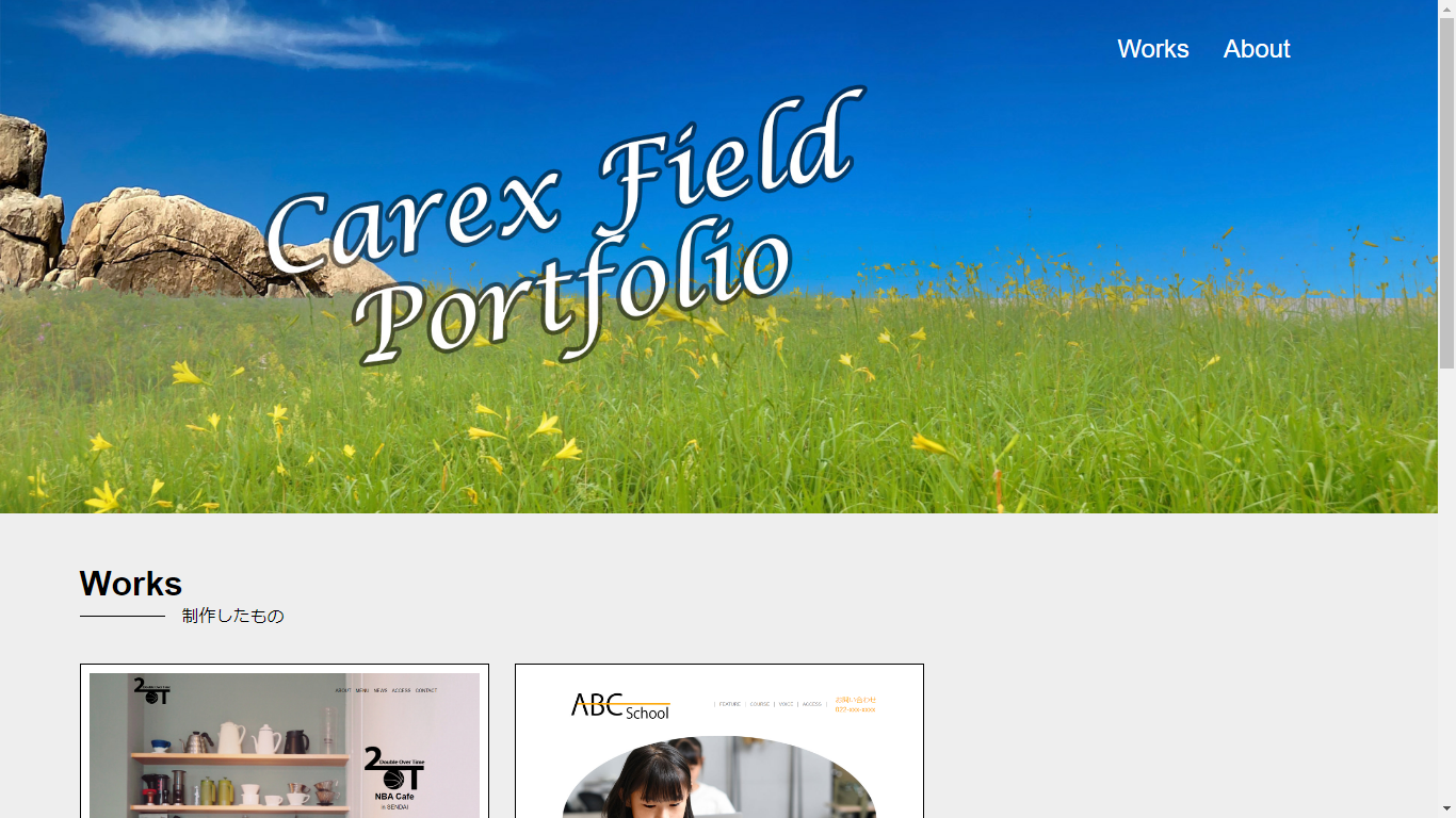 Carex Field Portfolio